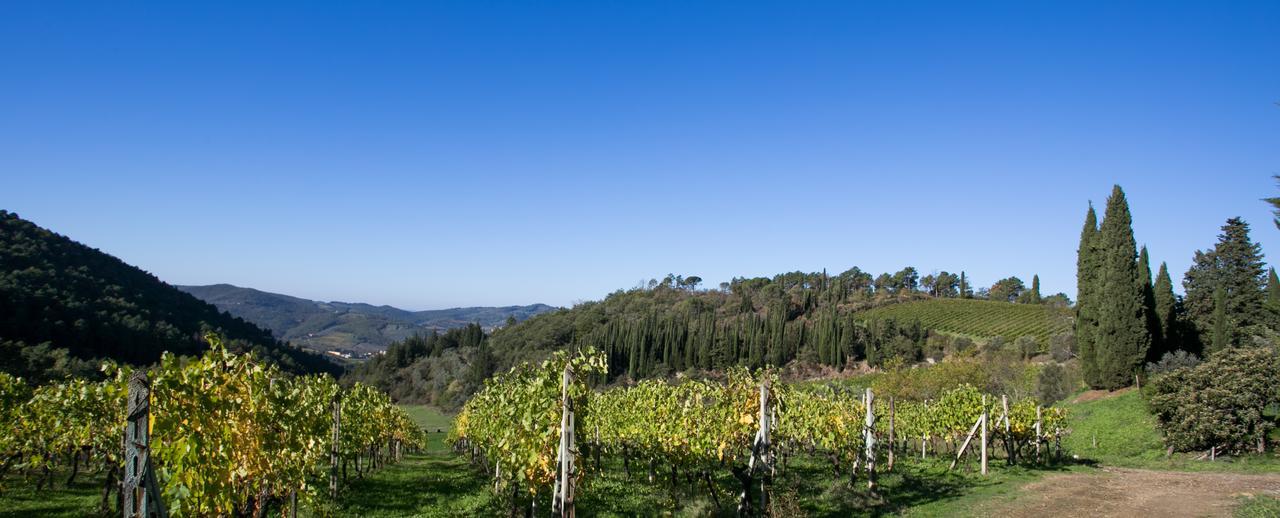 Casa Marina Apartman Greve in Chianti Kültér fotó